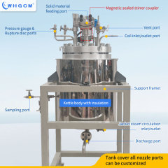 ASME CE 50L Stainless Steel Steam Jacket Heating High Pressure Hydrogenation Reactor with Explosion-proof Motor