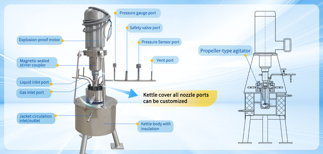 Picture of the 0.1L Stainless Steel Laboratory High Pressure Reactor structure