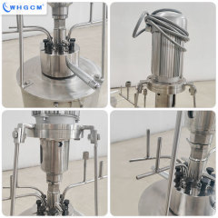 WHGCM New Hot Sell 0.1L Stainless Steel Laboratory High Pressure Reactor with Explosion-proof Motor for Chemical Synthesis