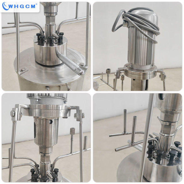 WHGCM New Hot Sell 0.1L Stainless Steel Laboratory High Pressure Reactor with Explosion-proof Motor for Chemical Synthesis