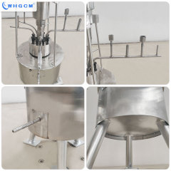 WHGCM New Hot Sell 0.1L Stainless Steel Laboratory High Pressure Reactor with Explosion-proof Motor for Chemical Synthesis