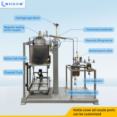 WHGCM New Hot Sell 10L High Pressure Stainless Steel Hydrogenation Reactor with Magnetic Sealing Coupler