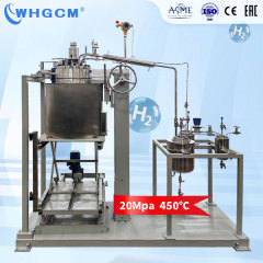 WHGCM New Hot Sell 10L High Pressure Stainless Steel Hydrogenation Reactor with Magnetic Sealing Coupler