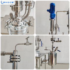 WHGCM New Hot Sell 10L  Stainless Steel S22053  Laboratory Reactor with Vertical Condenser and Collection Tank