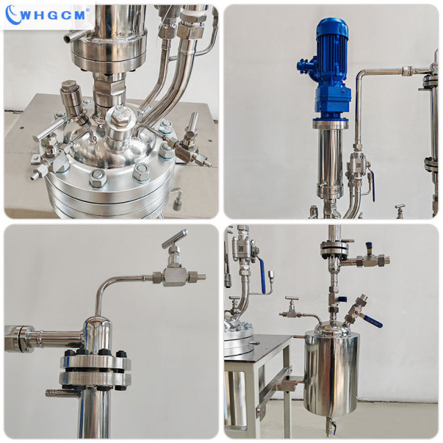WHGCM New Hot Sell 10L  Stainless Steel S22053  Laboratory Reactor with Vertical Condenser and Collection Tank