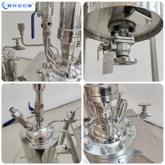 WHGCM New Hot Sell 10L  Stainless Steel S22053  Laboratory Reactor with Vertical Condenser and Collection Tank