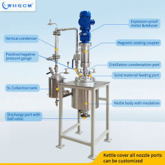 WHGCM New Hot Sell 10L  Stainless Steel S22053  Laboratory Reactor with Vertical Condenser and Collection Tank