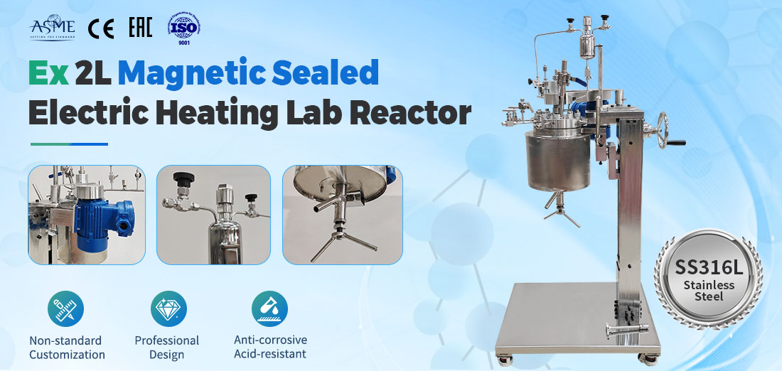 poster of the 2L  Stainless Steel SS316L  Laboratory Reactor 