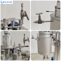 WHGCM 20L High Pressure High-low Temperature Stainless Steel Laboratory Reactor with Electric Lifting Device for Chemical