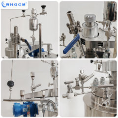 5L Stainless Steel High Temperature Lab Reactor with Manual Lifting Device Intelligent Controller and Insulation for Chemical Pharmaceutical Research