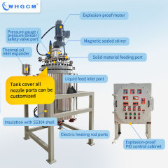 200L Stainless Steel Jacket Heating Hydrogenation Reactor ASME Certified Pressure Vessel with PLC PID Control for Pilot Scale