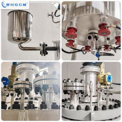 200L Stainless Steel Jacket Heating Hydrogenation Reactor ASME Certified Pressure Vessel with PLC PID Control for Pilot Scale