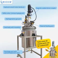 ASME-U CE EAC 200L Stainless Steel Hydrogenation Reactor Jacket Heating Magnetic Seal with Ex-proof Motor PID PLC for Chemical