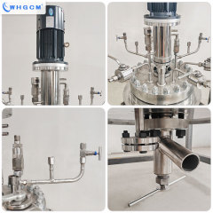 WHGCM NEW 50L Stainless Steel Reactor for Biomass Glucose Lignin Cellulose With Magnetic Seal and External Circulation Heating