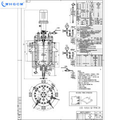 50L Corrosion Resistant Reactor With S30408 Jacket and S31603 Inner for Biomass Media With External Circulation Heating