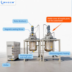 Factory Price 200L High Pressure Electromagnetic Heating Reactor with Magnetic Seal & Clad Plate Vessel for Wet Metallurgy