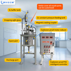 WHGCM ASME-U CE-PED EAC 25L Lab Chemical Jacket Stainless Steel Automatic Pressure Vessel Reactor with Explosion-proof Motor PID