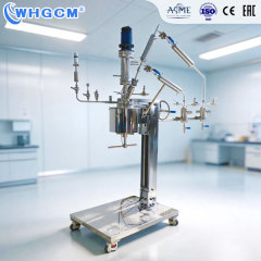 ASME CE EAC Certified 0.5L High Pressure Electric Heating Automatic S31603 Magnetic Seal Reaction Kettle Condenser Vacuum Pump