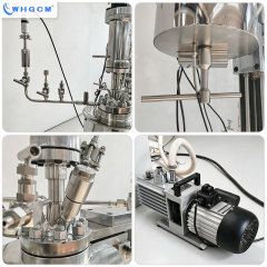WHGCM ASME CE EAC Certified 0.5L Stainless Steel Magnetic Seal Polyester Reactor with Manual Lifting Device for Laboratory