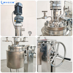 Customizable 5L 10L Stainless Steel 316L Lab Reactor Jacket Reactor ASME CE EAC Certified with Manual Lifting for Chemical Use