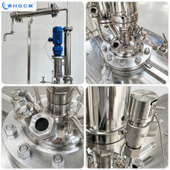 WHGCM 10L Stainless Steel Electric Heating Distillation Reactor with Explosion-proof PID Control Cabinet and Motor Reducer