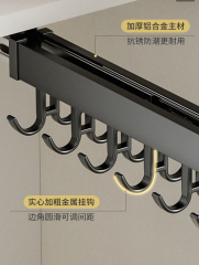Multi functional pull-out hanger