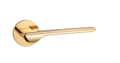 CN-CE589