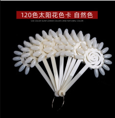 Wholesale High Quality Nail Display Tips Fake Nails Color Charts Manicure Practice Tools (NDT series)