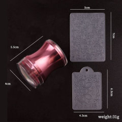 Wholesale Silicone Nail Art Stamper Scraper Tool Sets Jelly Nail Stamper Tools (SNA01)