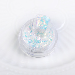 Best Sale Nail Art Sequins Wholesale Glitter Powders for Salons (D129)
