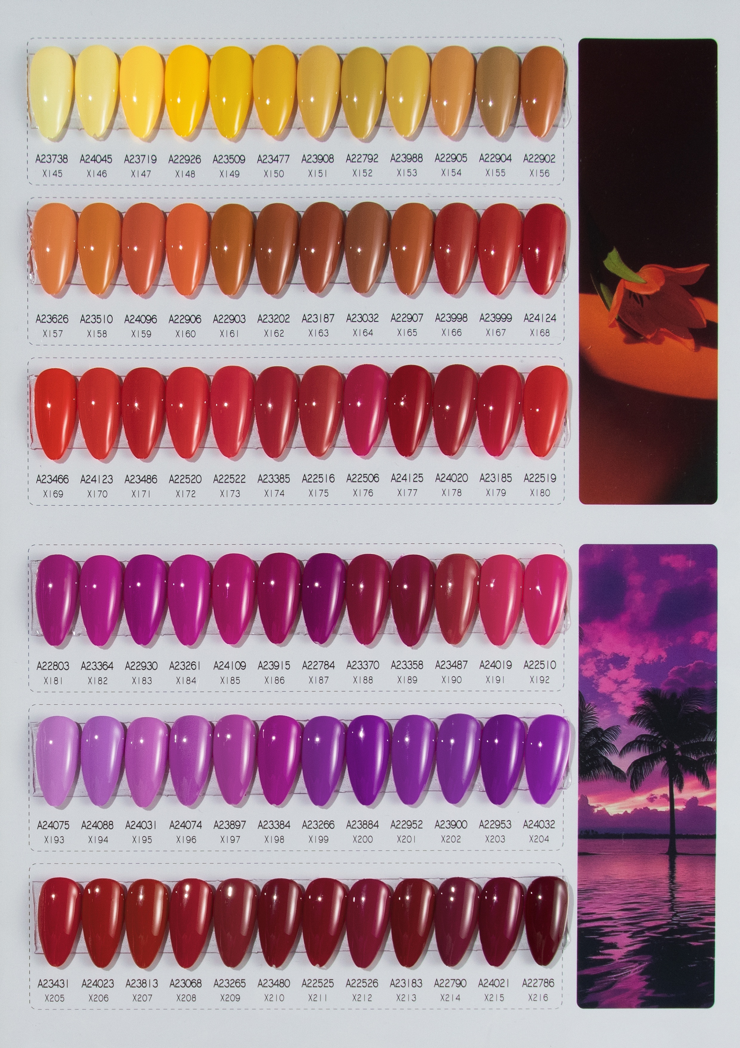 720 Colors, 0% HEMA/TPO Gel Polish Wholesale Nail Gel Polish (UG04)
