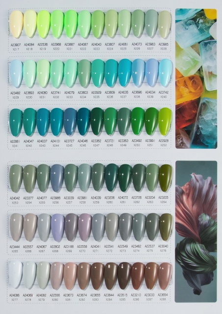 720 Colors, 0% HEMA/TPO Gel Polish Wholesale Nail Gel Polish (UG04)