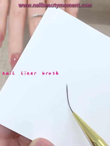 Customized Nail Art Liner Brushes OEM Manicure Tools (B017)