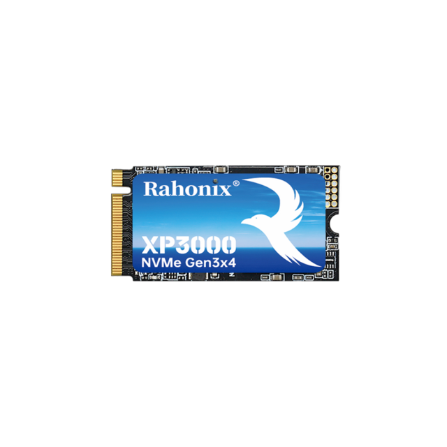 XP3000 Series M.2 NVMe 2242 PCIe3.0x4 SSD, read speed up to 3500MB/ssolid state drive