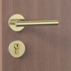 Interior Door Lock