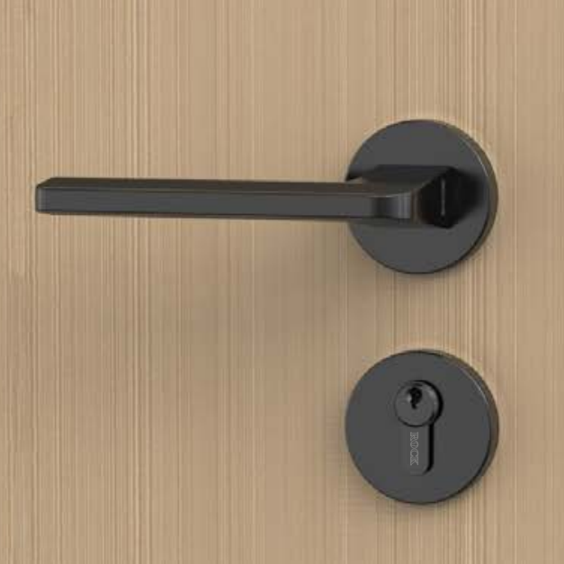 Interior Door Locks