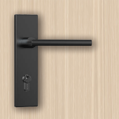 Interior Door Locks
