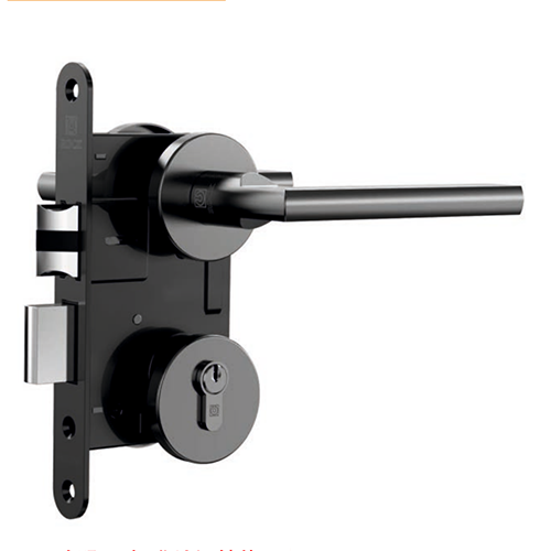 European Standard Indoor Door Lock Body