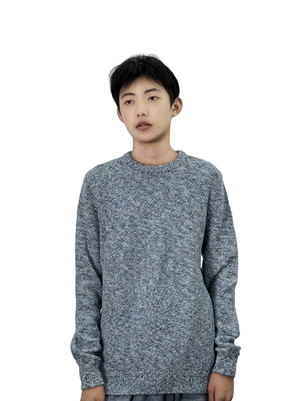 Crew neck long sleeve knitted pullover sweater