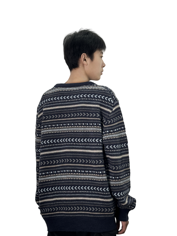 Crew neck graphic knit sweater