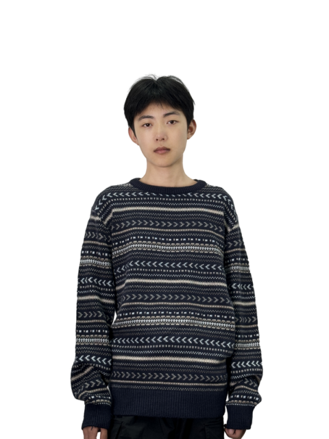 Crew neck graphic knit sweater
