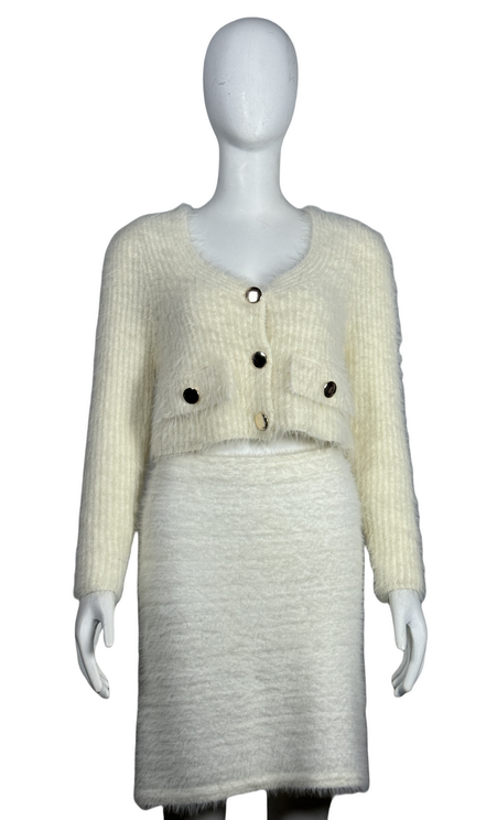 V-neck long sleeve cropped top and skirt set