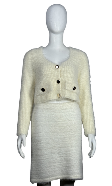 V-neck long sleeve cropped top and skirt set