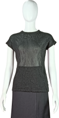 Shining Metallic Yarn Sheer Short-Sleeve Top