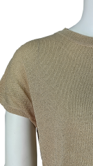 Shining Metallic Yarn Sheer Short-Sleeve Top
