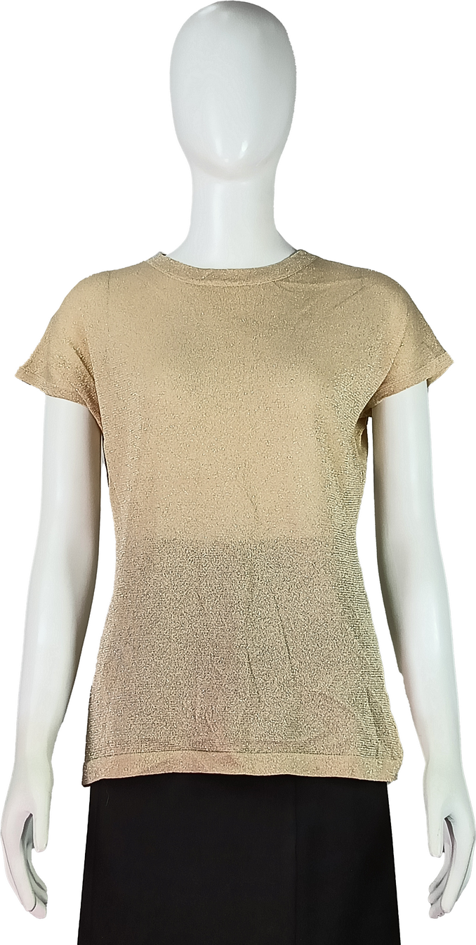 Shining Metallic Yarn Sheer Short-Sleeve Top