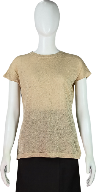 Shining Metallic Yarn Sheer Short-Sleeve Top