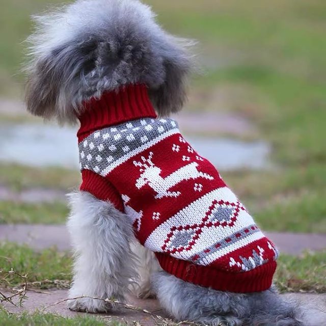 Festive Christmas day  Reindeer Knit Dog Sweater
