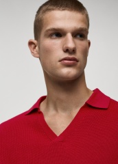 Customize Men's Red V-Neck Polo Sweater