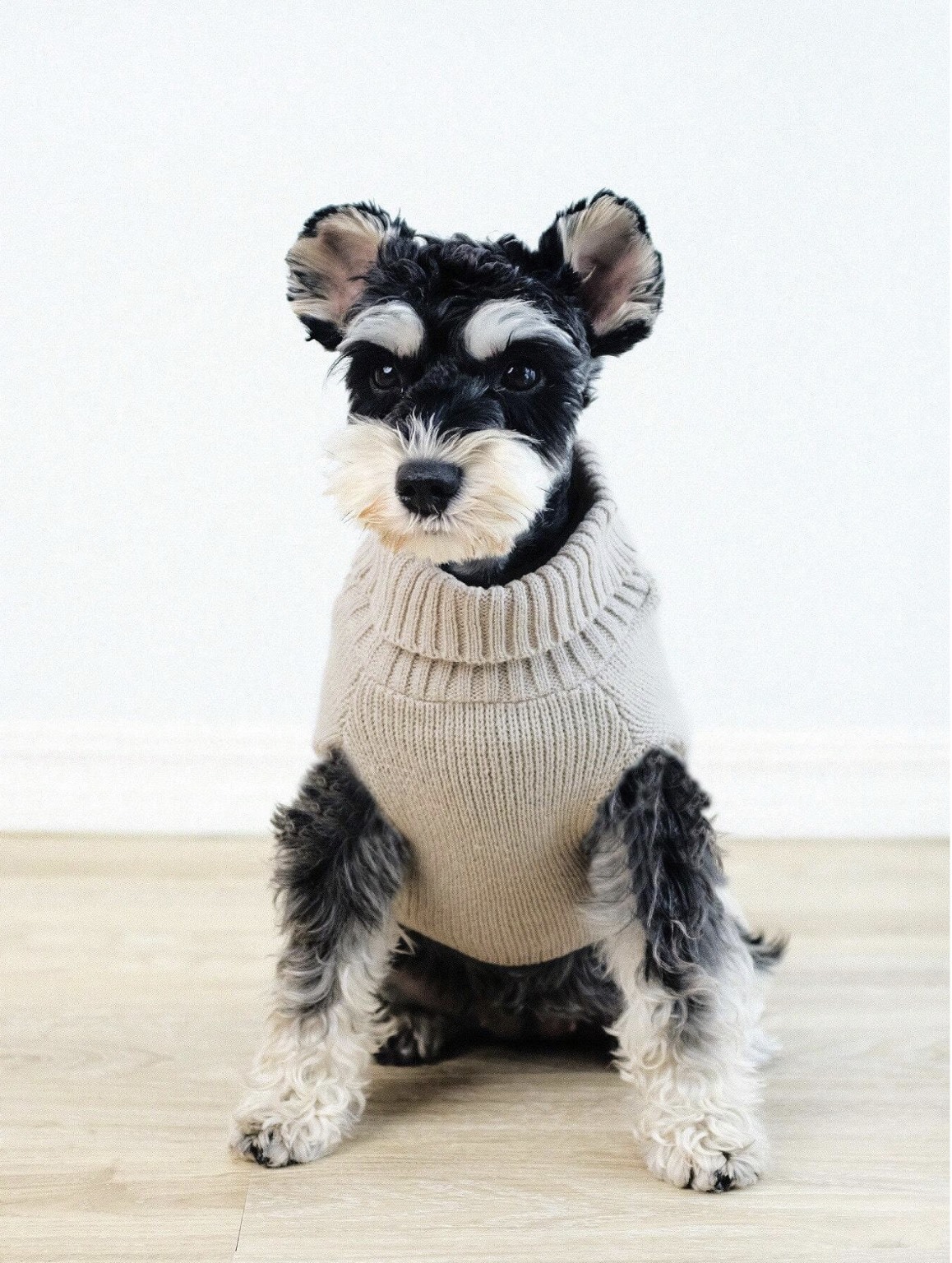 Wholesale Custom Cozy Cable Knit Dog Sweater – Stylish, Comfortable Winter Wear for B2B Product